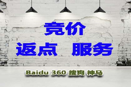 百度竞价公司成功案例：如何实现ROI最大化